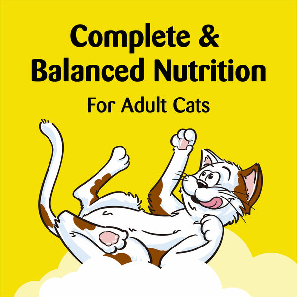 Birthday Cat Treats Lobster and Beef Flavor, 2 pack, 6.3 oz per pack, plus 3 My Outlet Mall Resealable Storage Pouches