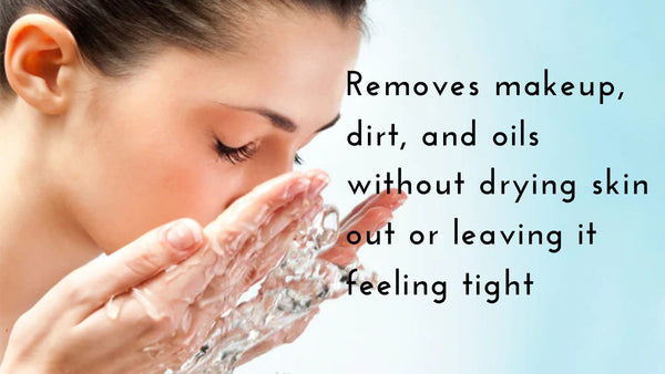 Daily Facial Cleanser for Normal to Oily Skin, 2 pack, 8fl oz per pack, plus 3 My Outlet Mall Resealable Storage Pouches