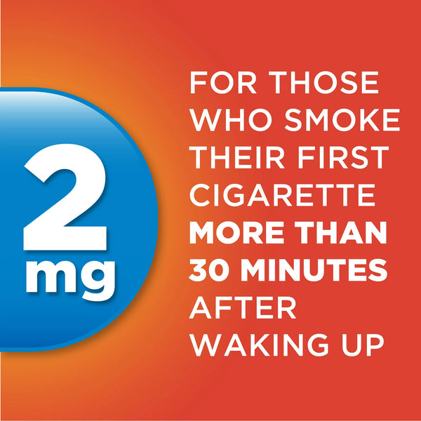 Coated Nicotine Gum 2 mg, Fruit Flavor, Stop Smoking Aid, 2 pack, 160 count per pack, plus 3 My Outlet Mall Resealable Storage Pouches