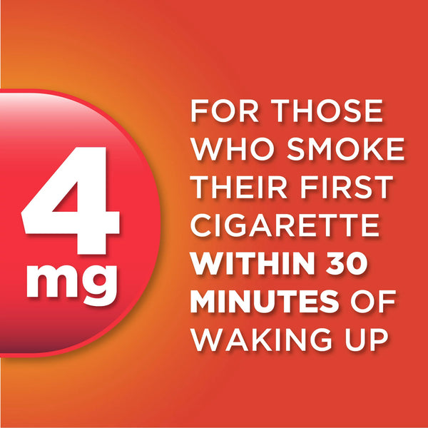 Coated Nicotine Polacrilex Gum, 4 mg, Fruit Flavor, Stop Smoking Aid, 3 pack, 160 count per pack, plus 3 My Outlet Mall Resealable Storage Pouches