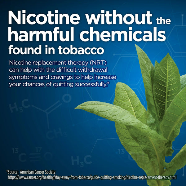 Coated Nicotine Polacrilex Gum 2 mg, Mint Flavor, Stop Smoking Aid, 2 pack, 160 count per pack, plus 3 My Outlet Mall Resealable Storage Pouches