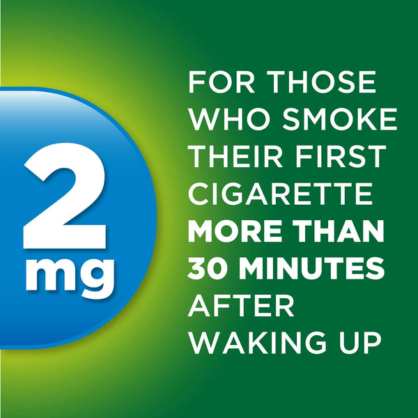 Nicotine Lozenge 2 mg, Stop Smoking Aid, Mint Flavor, 3 pack, 108 count per pack, plus 3 My Outlet Mall Resealable Storage Pouches