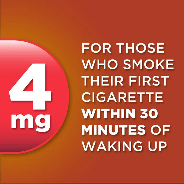 Nicotine Polacrilex Lozenge, 4 mg, Cinnamon Flavor - 2 pack - 108 count - plus 3 My Outlet Mall Resealable Storage Pouches