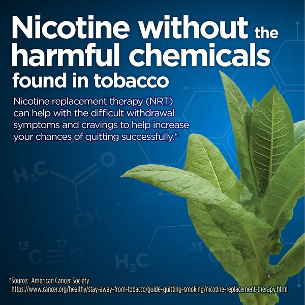 Nicotine Uncoated Gum 4 mg, Original Flavor - 1 pack - 220 count - plus 3 My Outlet Mall Resealable Storage Pouches