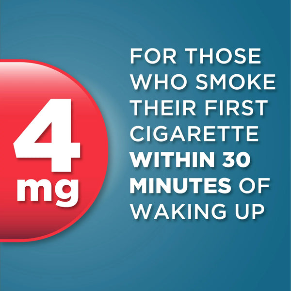 Nicotine Uncoated Gum 4 mg, Original Flavor - 1 pack - 220 count - plus 3 My Outlet Mall Resealable Storage Pouches