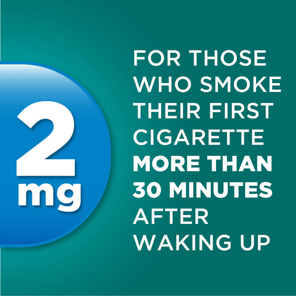 Uncoated Nicotine Gum 2 mg, Stop Smoking Aid, Mint Flavor, 1 pack, 170 count, plus 3 My Outlet Mall Resealable Storage Pouches
