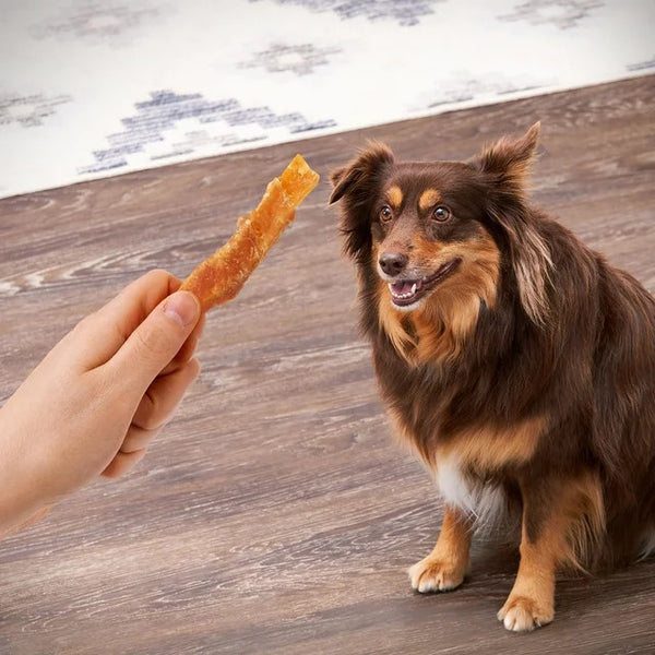 Sweet Potato Wrapped with Chicken Dog Treats, 2 packs, 16 oz per pack, plus 3 My Outlet Mall Resealable Storage Pouches