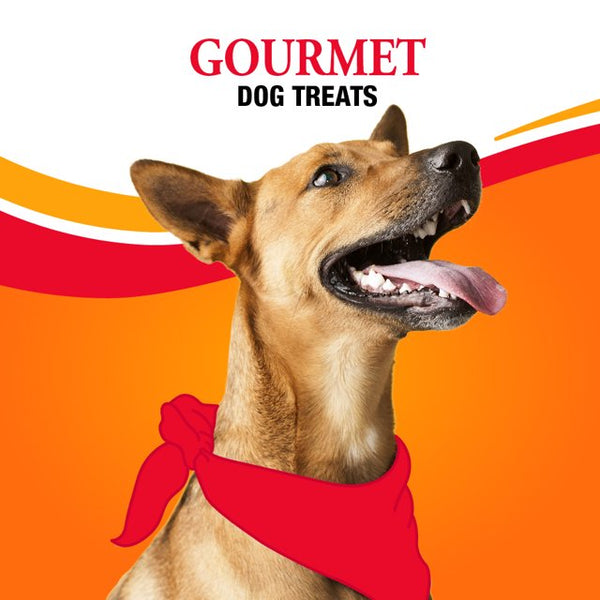 Healthy Hide Triple Flavor Wings Snack for All Dogs - 2 packs - 12 oz - plus 3 My Outlet Mall Resealable Storage Pouches