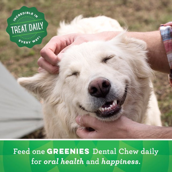 Original Flavor Dental Dog Treats for Dogs, 2 pack, 36 oz per pack, plus 3 My Outlet Mall Resealable Storage Pouches