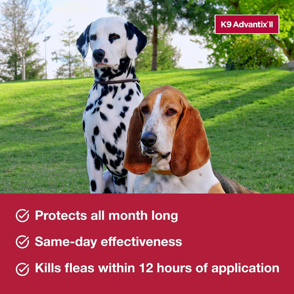 Monthly Flea & Tick Prevention for XL Dogs 55 lbs+ 2-Monthly Treatments, 3 pack, 2 Count per pack, plus 3 My Outlet Mall Resealable Storage Pouches
