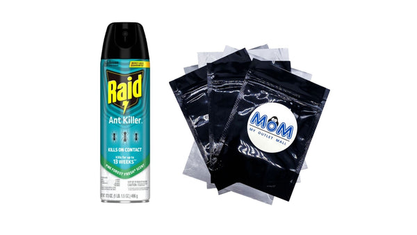 Ant Killer 26, Insecticide Spray for Home, Pine Forest Fresh Scent - 1 pack - 17.5 oz per pack - plus 3 My Outlet Mall Resealable Storage Pouches