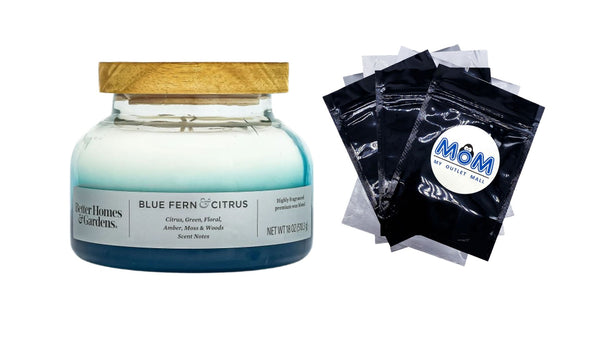 Blue Fern & Citrus Scented 2-Wick Ombre Bell Jar Candle - 1 pack - 18 oz per pack - plus 3 My Outlet Mall Resealable Storage Pouches
