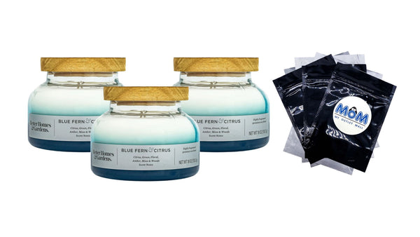 Blue Fern & Citrus Scented 2-Wick Ombre Bell Jar Candle - 3 packs - 18 oz per pack - plus 3 My Outlet Mall Resealable Storage Pouches