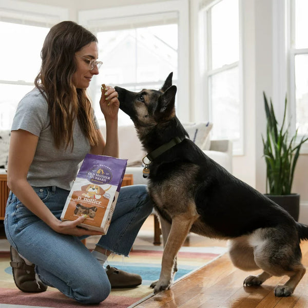 Classic P-Nuttier Biscuits Baked Dog Treats, Mini, 1 pack, 16 oz, plus 3 My Outlet Mall Resealable Storage Pouches