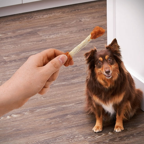 Beefhide Coated Munchy Sticks, Chicken Recipe, Dry Training Treats for Dog - 2 packs - 16.9 oz - plus 3 My Outlet Mall Resealable Storage Pouches