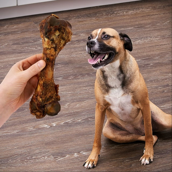 Natural Pork Femur Chew for Dogs, 3 pack, 9.28 oz (1 count) per pack, plus 3 My Outlet Mall Resealable Storage Pouches