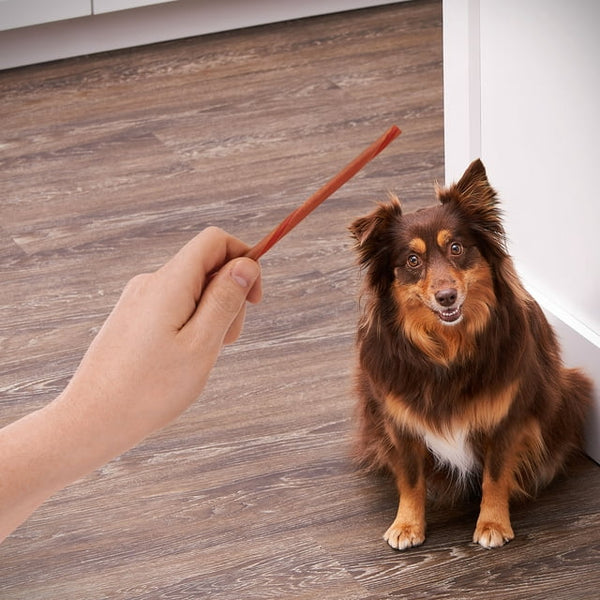 Rawhide Free Peanut Butter Twist Sticks for Dogs - 1 pack - 50 Count - plus 3 My Outlet Mall Resealable Storage Pouches