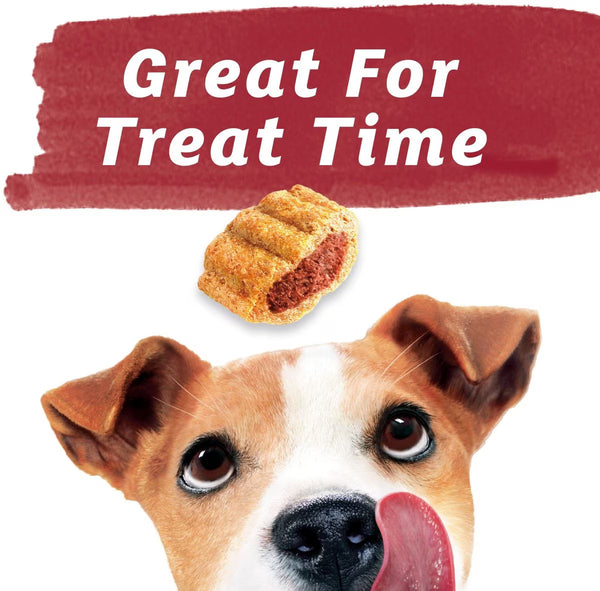 Beneful Real Beef & Cheese Crunchy Treats for Dogs, 2 pack, 19.5 oz per pack, plus 3 My Outlet Mall Resealable Storage Pouches