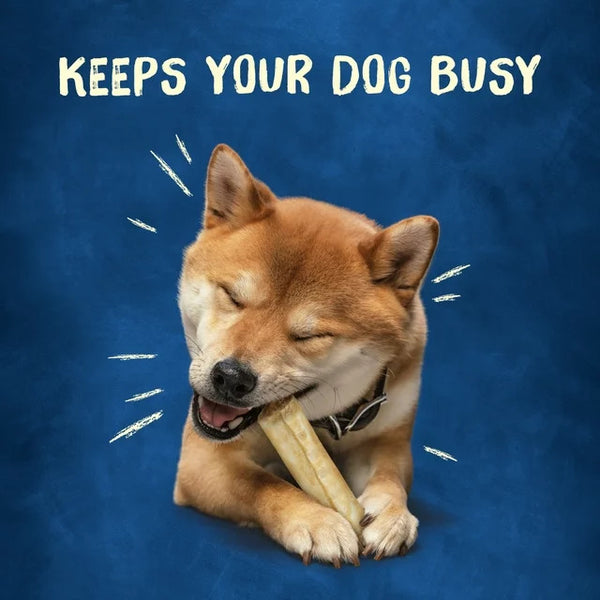 Busy Rollhide Long Lasting Chews for Dogs - 2 packs - 12 oz - plus 3 My Outlet Mall Resealable Storage Pouches
