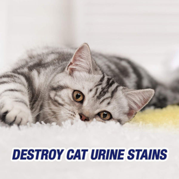 Urine Destroyer Pet Urine Stain and Odor Remover Spray, 1 Pack, 32oz per pack, plus 3 My Outlet Mall Resealable Storage Pouches