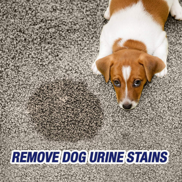 Urine Destroyer Pet Urine Stain and Odor Remover Spray, 1 Pack, 32oz per pack, plus 3 My Outlet Mall Resealable Storage Pouches