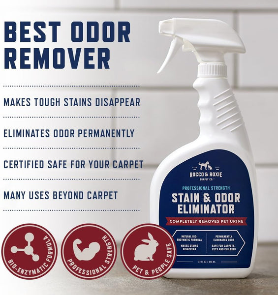 Pet Stain & Odor Eliminator Spray, 1 pack, 24fl oz, plus 3 My Outlet Mall Resealable Storage Pouches