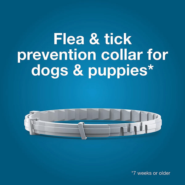 Vet-Recommended Flea and Tick 8 Month Prevention Collar for Large Dogs 18+ Lbs, 1 pack, 1 Count, plus 3 My Outlet Mall Resealable Storage Pouches