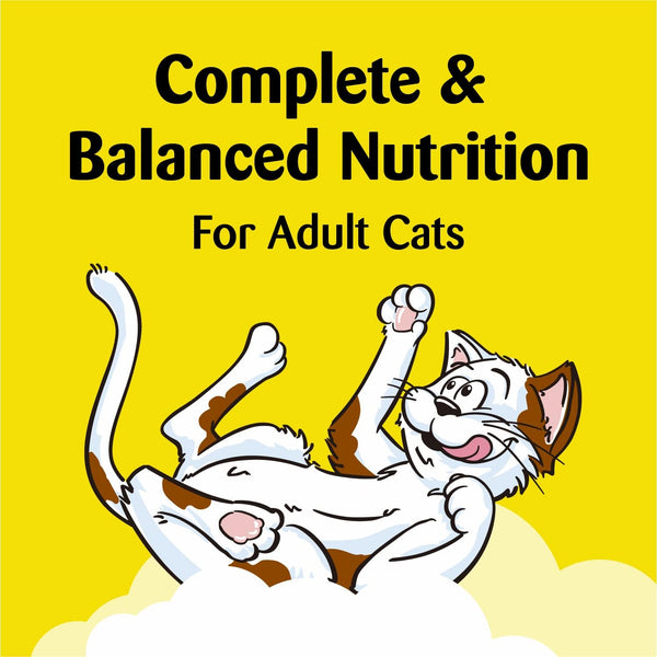 Classic Crunchy and Soft Cat Treats Blissful Catnip Flavor, 2 pack, 3 oz per pack, plus 3 My Outlet Mall Resealable Storage Pouches