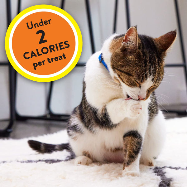 Meaty MixUps Chicken and Turkey Crunchy and Soft Cat Treats for Adult Cats, 1 pack, 1.5 oz, plus 3 My Outlet Mall Resealable Storage Pouches
