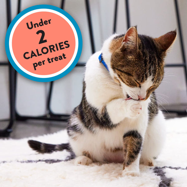 Meaty MixUps Salmon and Tuna Crunchy and Soft Cat Treats for Adult Cats, 3 pack, 1.5 oz per pack, plus 3 My Outlet Mall Resealable Storage Pouches