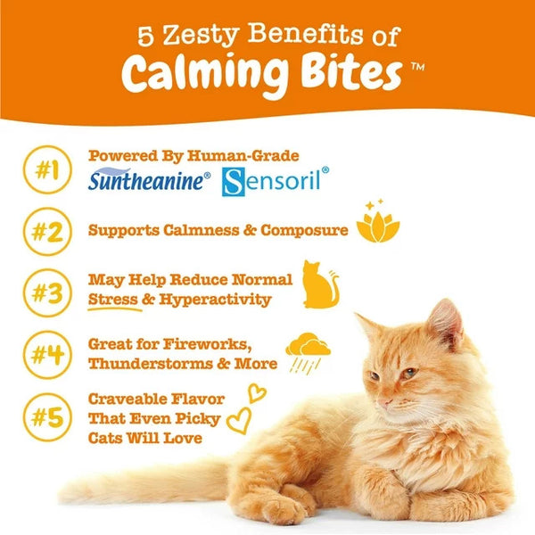Calming Bites Stress & Anxiety Relief Supplement for Cats Bacon Flavor, 2 pack, 30 Count per pack, plus 3 My Outlet Mall Resealable Storage Pouches