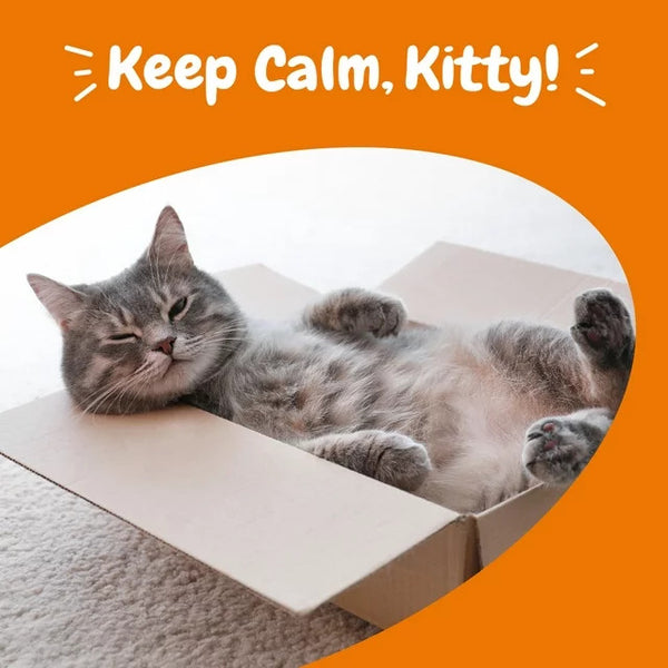 Calming Bites Stress & Anxiety Relief Supplement for Cats Bacon Flavor, 2 pack, 30 Count per pack, plus 3 My Outlet Mall Resealable Storage Pouches