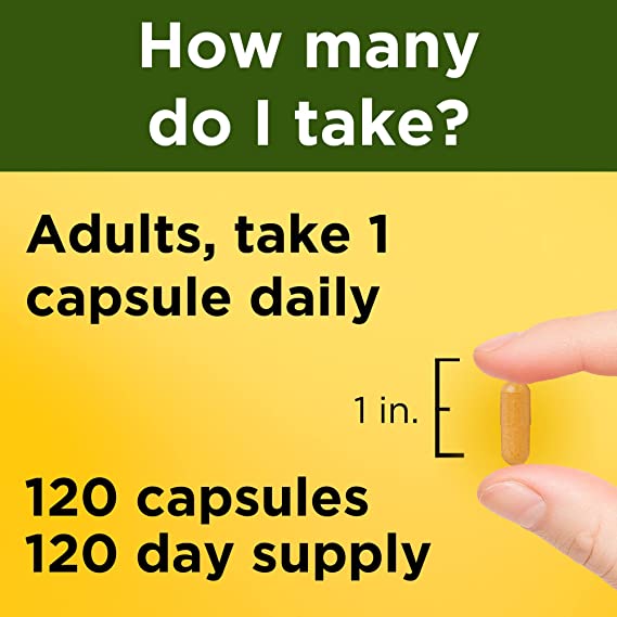 Nature Made Turmeric Curcumin 500 mg  120 Capsules