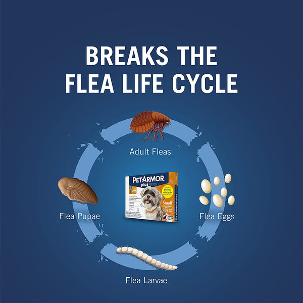 PetArmor Plus Flea & Tick Prevention for Dogs  5-22 LBS