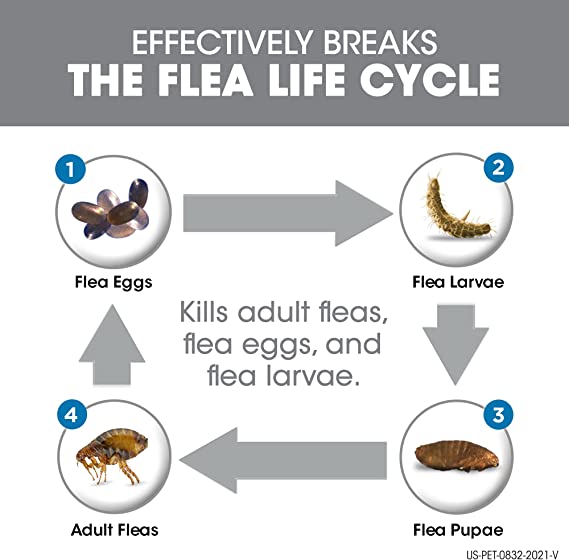 FRONTLINE Flea and Tick Treatment for Dogs Medium Dogs