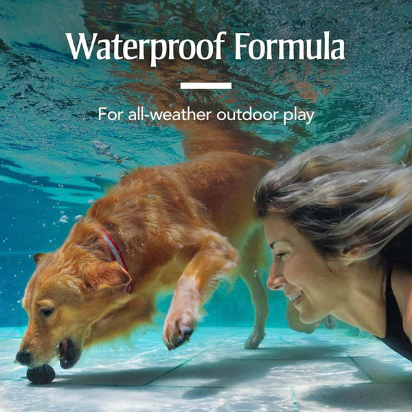 PetArmor Plus Flea & Tick Prevention for Dogs  5-22 LBS