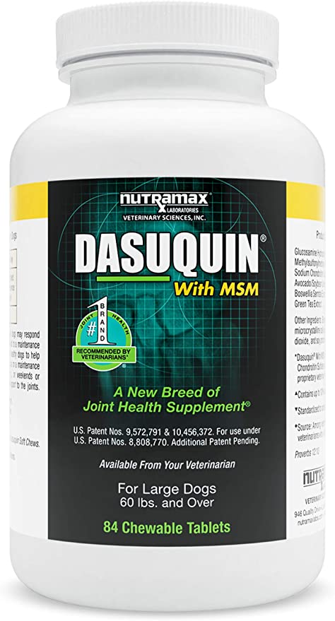 Nutramax Dasuquin with MSM Chewables, Large Dog