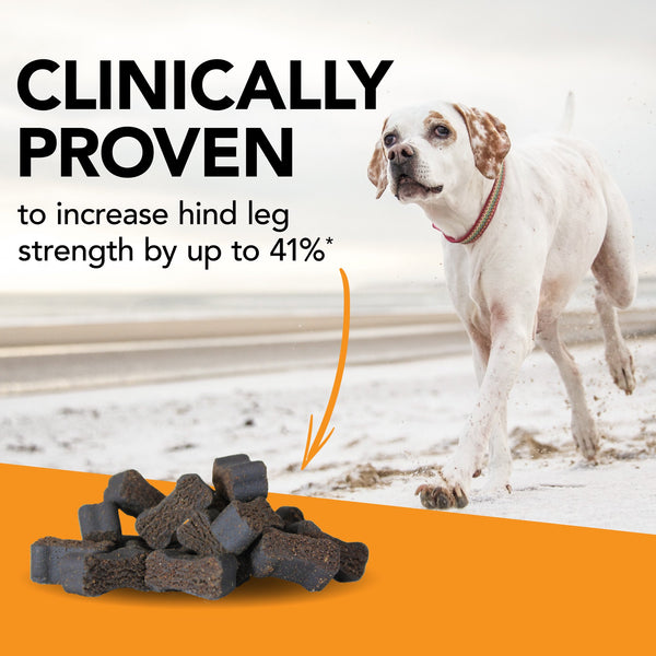 VetriScience GlycoFlex Ultimate Strength Stage 3 Joint Support for Dogs
